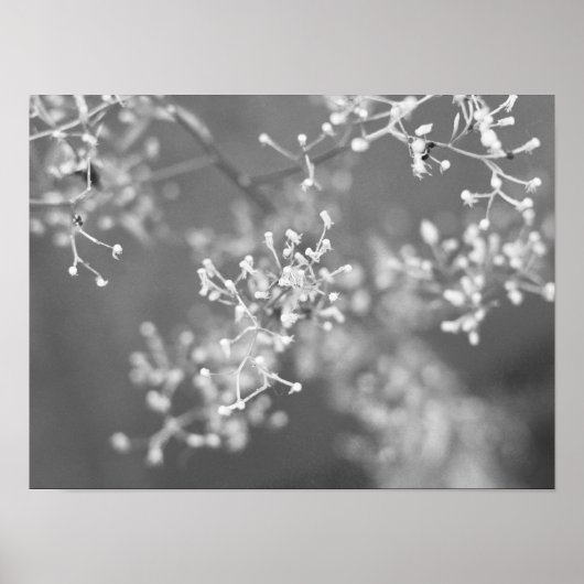 Monochrome Meadow Poster (Voorkant)