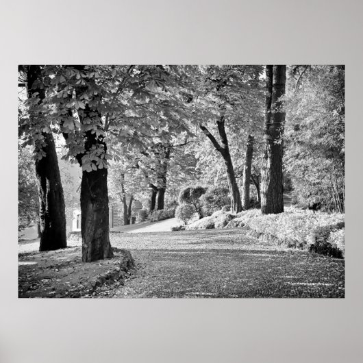 Monochrome meer Como Path Poster (Voorkant)