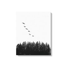 Monochrome minimalistische vliegganzen en pijnbome