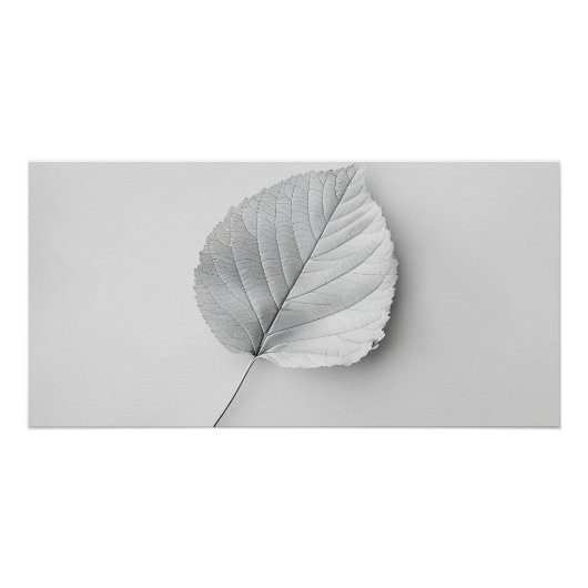 Monochrome minimumblad perfect poster (Voorkant)