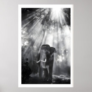 Monochrome olifant-wandkunst, natuurfoto (levend poster