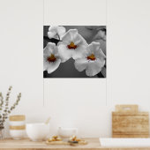 Monochrome orchideeën poster (Keuken)