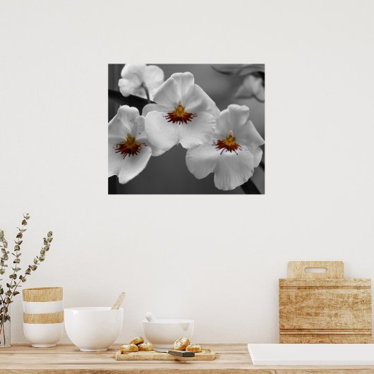 Monochrome orchideeën poster (Keuken)