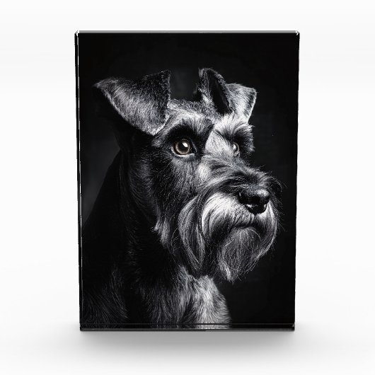 Monochrome Portret van een Schnauzer Fotoblokken (Voorkant)