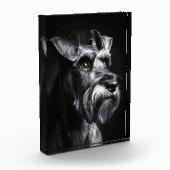 Monochrome Portret van een Schnauzer Fotoblokken (Links)