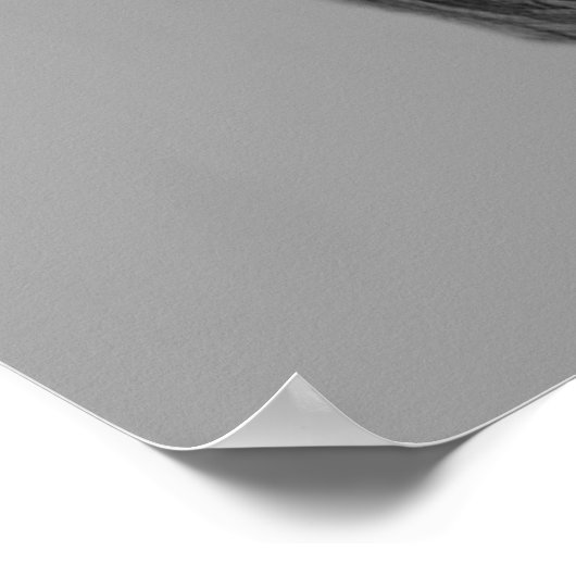 Monochrome schedel bovenhoed poster (Hoek)