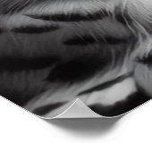 Monochrome Sneeuwuil Poster (Hoek)