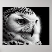 Monochrome Sneeuwuil Poster (Voorkant)