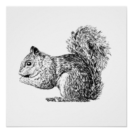 Monochrome Squirrel poster (part of a set) (Voorkant)