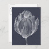 Monochrome Tulip I Briefkaart (Voorkant / Achterkant)