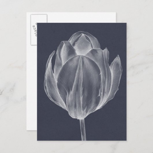 Monochrome Tulip I Briefkaart (Voorkant / Achterkant)