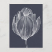 Monochrome Tulip I Briefkaart (Voorkant)