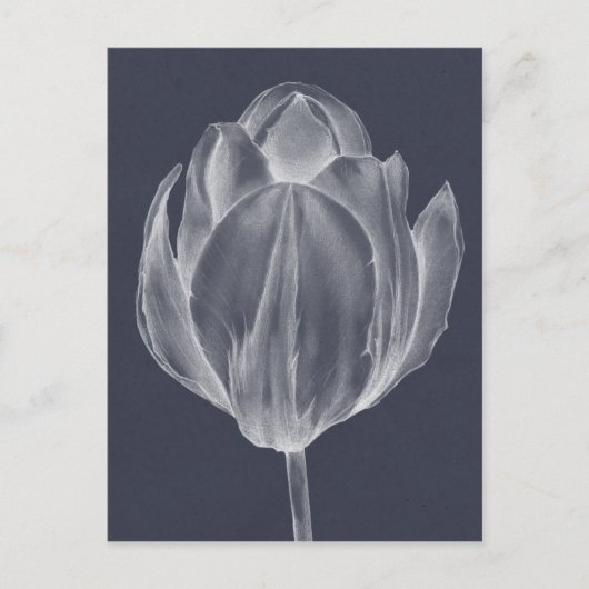 Monochrome Tulip I Briefkaart (Voorkant)