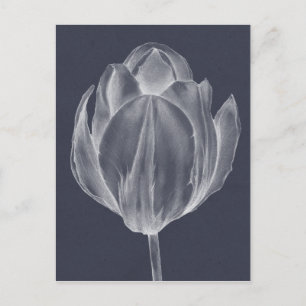 Monochrome Tulip I Briefkaart