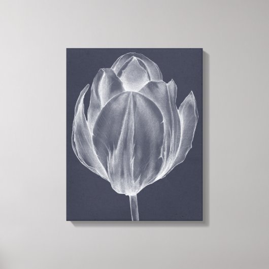 Monochrome Tulip I Canvas Afdruk (Voorkant)