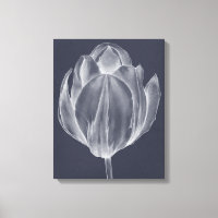 Monochrome Tulip I