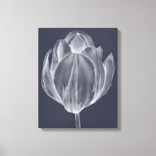 Monochrome Tulip I Canvas Afdruk