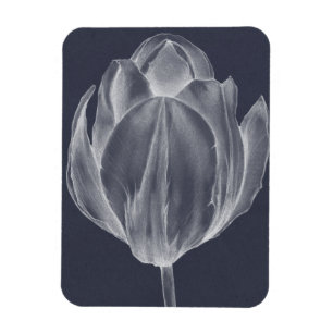 Monochrome Tulip I Magneet