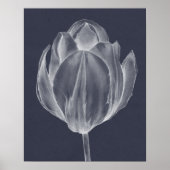Monochrome Tulip I Poster (Voorkant)