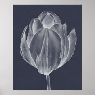Monochrome Tulip I Poster