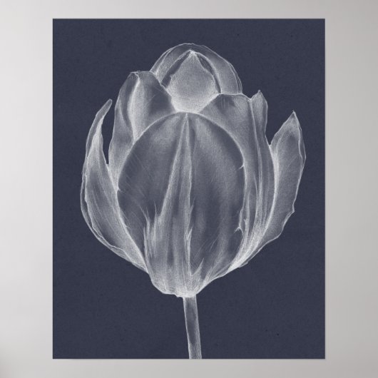 Monochrome Tulip I Poster (Voorkant)