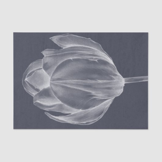 Monochrome Tulip I Tissuepapier (Voorkant)