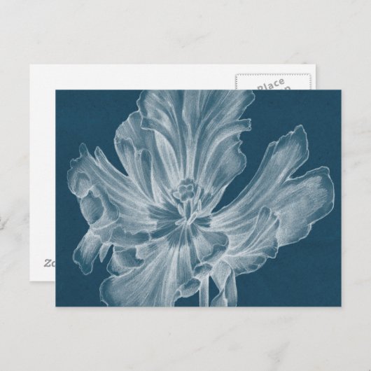 Monochrome Tulip II Briefkaart (Voorkant / Achterkant)