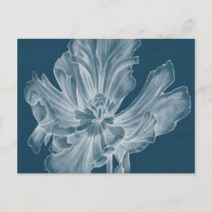 Monochrome Tulip II Briefkaart