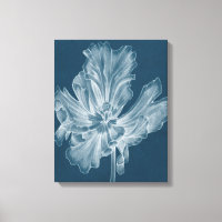 Monochrome Tulip II