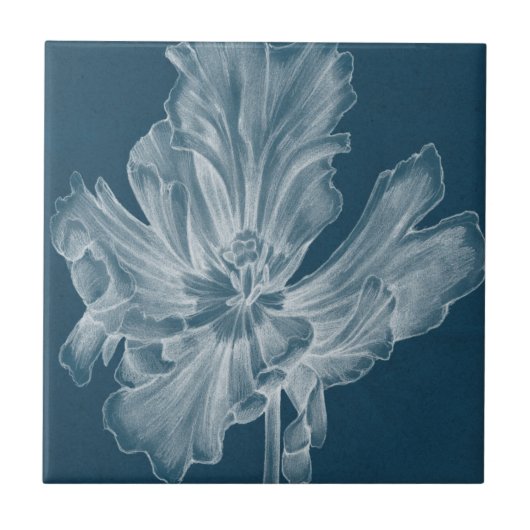 Monochrome Tulip II Tegeltje (Voorkant)