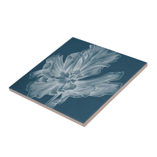 Monochrome Tulip II Tegeltje (Zijkant)