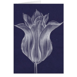 Monochrome Tulip III