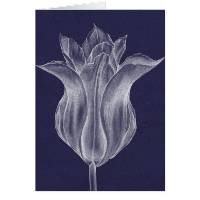 Monochrome Tulip III (Voorkant)