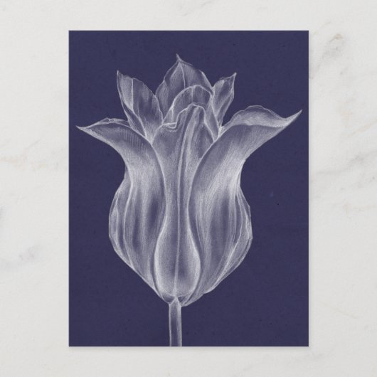 Monochrome Tulip III Briefkaart (Voorkant)