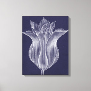 Monochrome Tulip III Canvas Afdruk