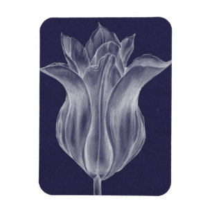 Monochrome Tulip III Magneet