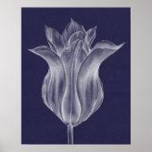 Monochrome Tulip III Poster (Voorkant)