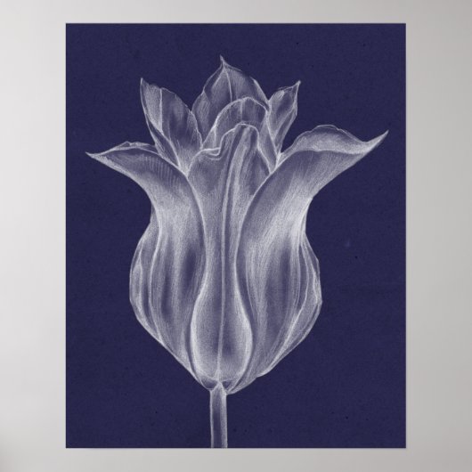 Monochrome Tulip III Poster (Voorkant)