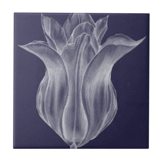 Monochrome Tulip III Tegeltje (Voorkant)