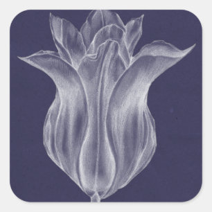 Monochrome Tulip III Vierkante Sticker