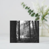 Monochrome verlichting van het Briefkaart van de D (Staand voorkant)