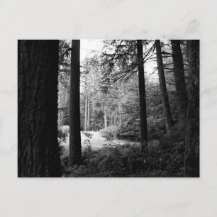 Monochrome verlichting van het Briefkaart van de D