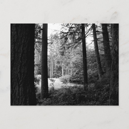 Monochrome verlichting van het Briefkaart van de D (Voorkant)