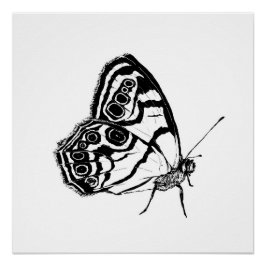 Monochrome vlinder perfect poster