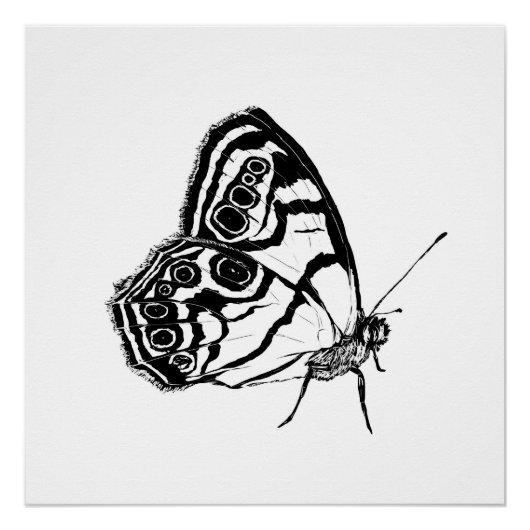 Monochrome vlinder perfect poster (Voorkant)