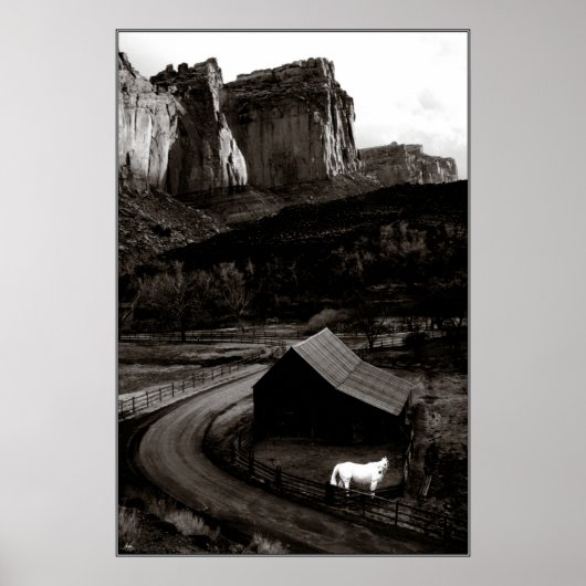 Monochrome witte paarden in Canyonlands Poster (Voorkant)