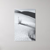 Monochrome woestijnlandschap met grasplukjes canvas afdruk (Voorkant)