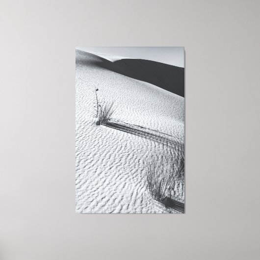 Monochrome woestijnlandschap met grasplukjes canvas afdruk (Voorkant)