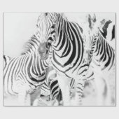 monochrome zebra groep portret, Zuid-Afrikaanse na Cadeaupapier (Vlak)