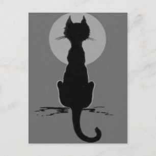 Monochrome Zwart En Wit Zwarte Kat Volle Maan Briefkaart